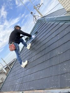 屋根に登っている写真